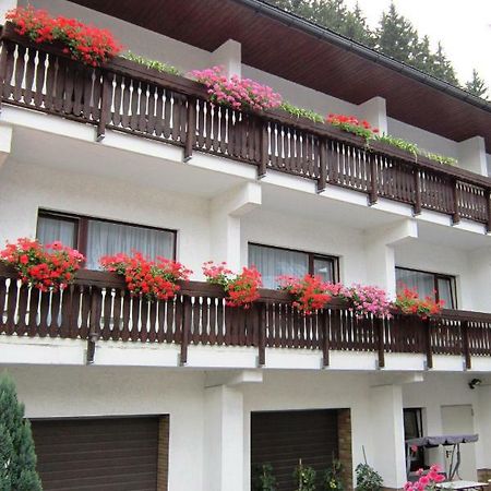 Pension Zum Ritter Katzhutte Exterior photo